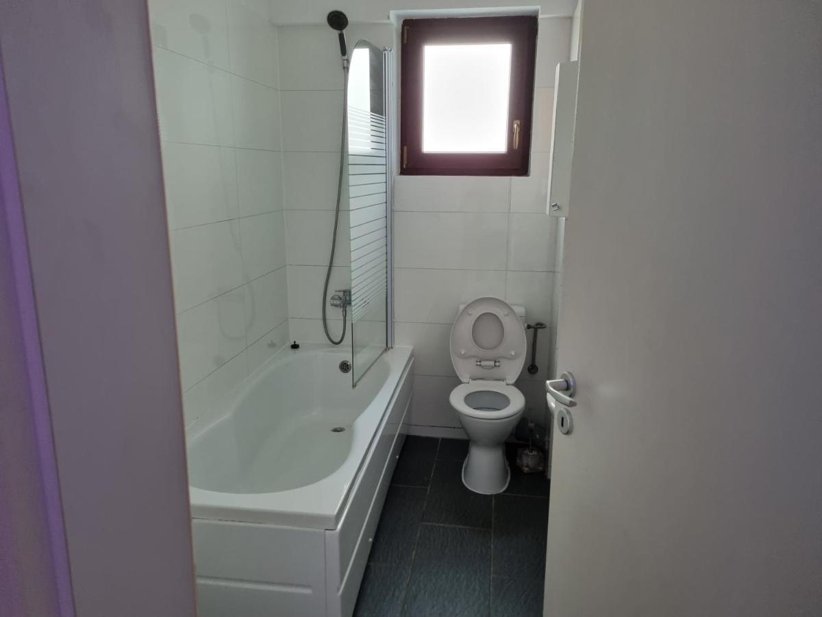 Appartement Apartament Mon Jardin - Iasi Extérieur photo