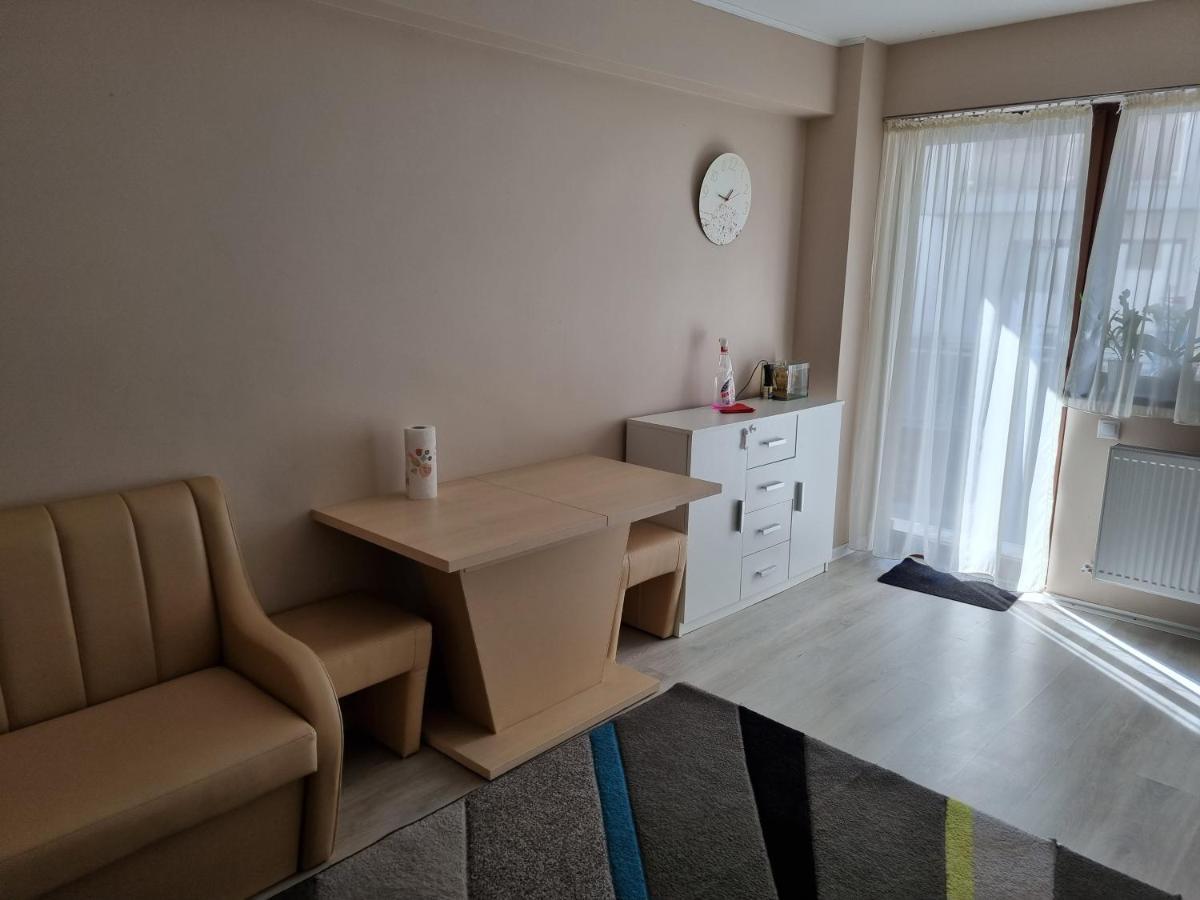 Appartement Apartament Mon Jardin - Iasi Extérieur photo